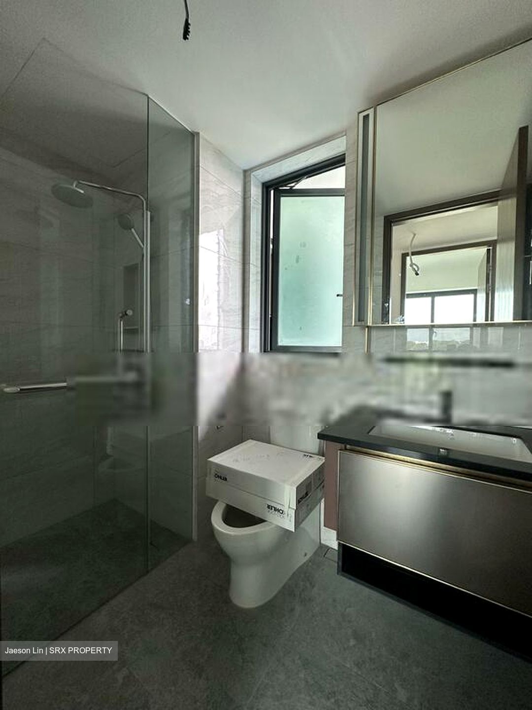 Normanton Park (D5), Apartment #413431051